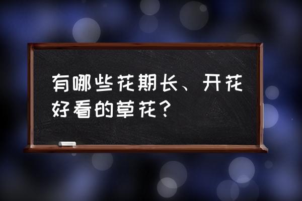 上海赏花时间一览表 有哪些花期长、开花好看的草花？