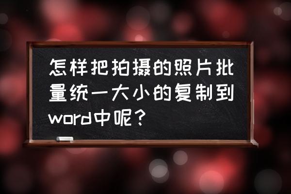 word怎么把一张图片复制多张 怎样把拍摄的照片批量统一大小的复制到word中呢？