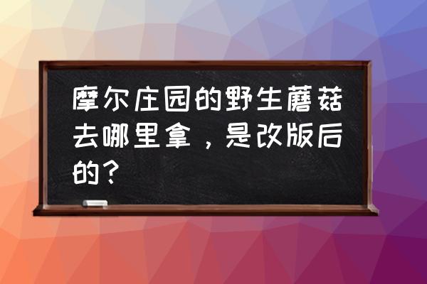 拉姆哪里获得 摩尔庄园的野生蘑菇去哪里拿，是改版后的？