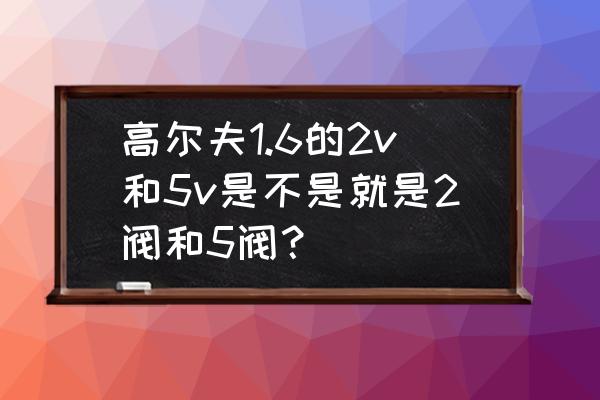 手游高尔夫2游戏 高尔夫1.6的2v和5v是不是就是2阀和5阀？