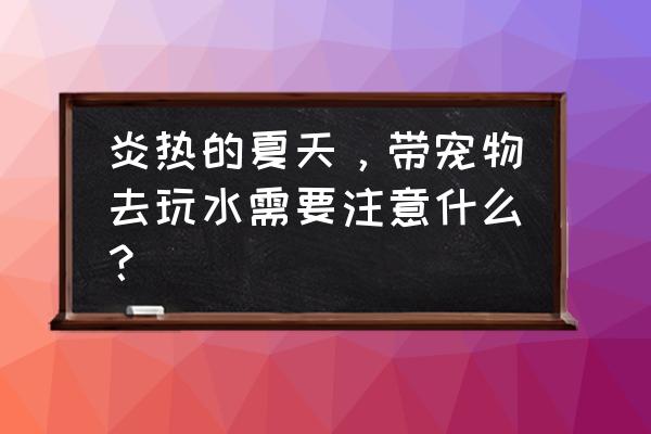 和孩子夏天玩水需要准备什么东西 炎热的夏天，带宠物去玩水需要注意什么？