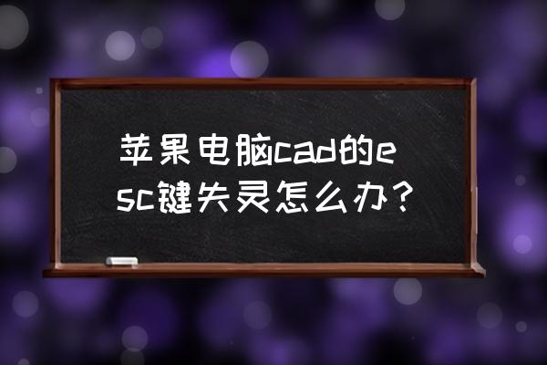 cad中快捷键不管用了怎么办 苹果电脑cad的esc键失灵怎么办？