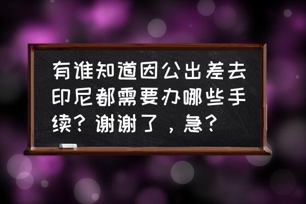 办理印尼签证需要什么材料和手续 有谁知道因公出差去印尼都需要办哪些手续？谢谢了，急？