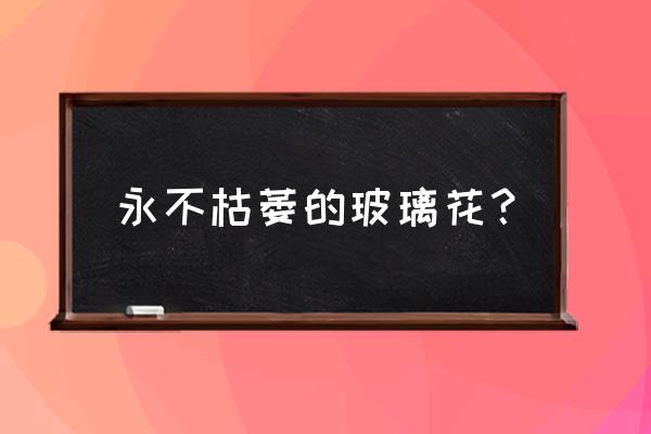 鲜绣球怎么处理成永生花 永不枯萎的玻璃花？