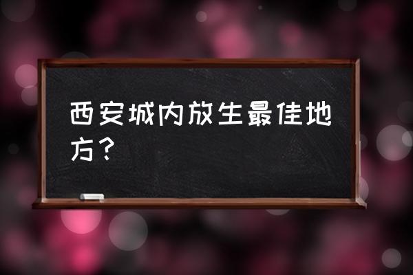 西安丰庆公园和莲湖公园哪个好玩 西安城内放生最佳地方？