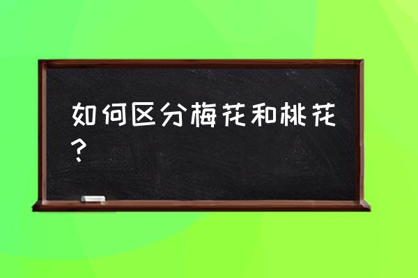 怎么区分桃花和梅花 如何区分梅花和桃花？