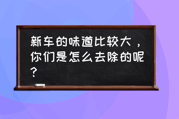 新车放在太阳下暴晒能除异味吗 新车的味道比较大，你们是怎么去除的呢？