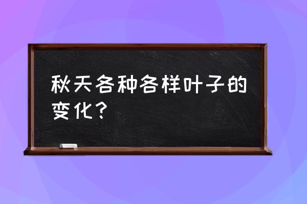 秋天的树叶怎么画简单又好看 秋天各种各样叶子的变化？