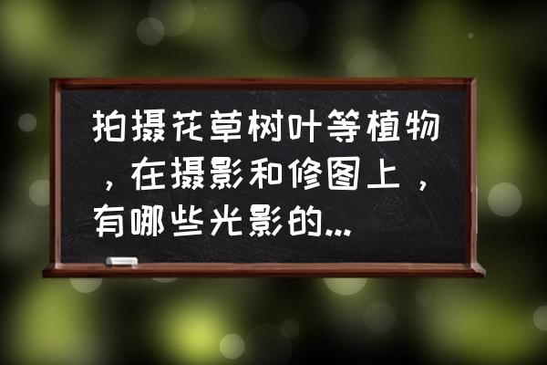 100个光影摄影技巧 拍摄花草树叶等植物,在摄影和修图上,有哪些光影的技巧可用? 100个光影摄影技巧 拍摄花草树叶等植物,在摄影和修图上,有哪些光影的技巧可用?